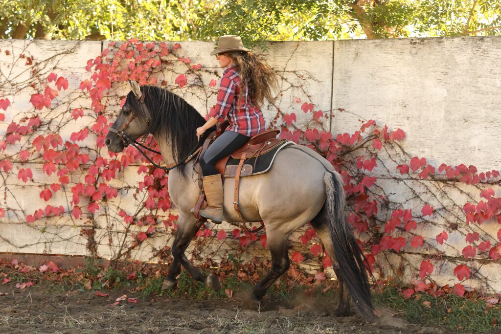 Cowgirl on grulla Kiger Mustang in sand arena near red-ivy covered white wall, wearing tan hat and red plaid shirt