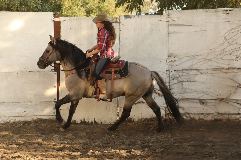Cowgirl on grulla Kiger Mustang in sand arena near white wall, wearing tan hat and red plaid shirt