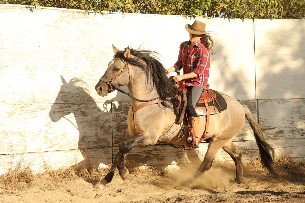 Cowgirl on grulla Kiger Mustang in sand arena near white wall, wearing tan hat and red plaid shirt