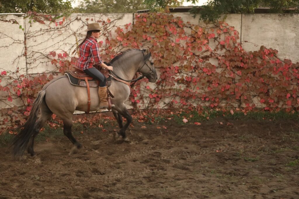 Cowgirl on grulla Kiger Mustang in sand arena near red-ivy covered white wall, wearing tan hat and red plaid shirt