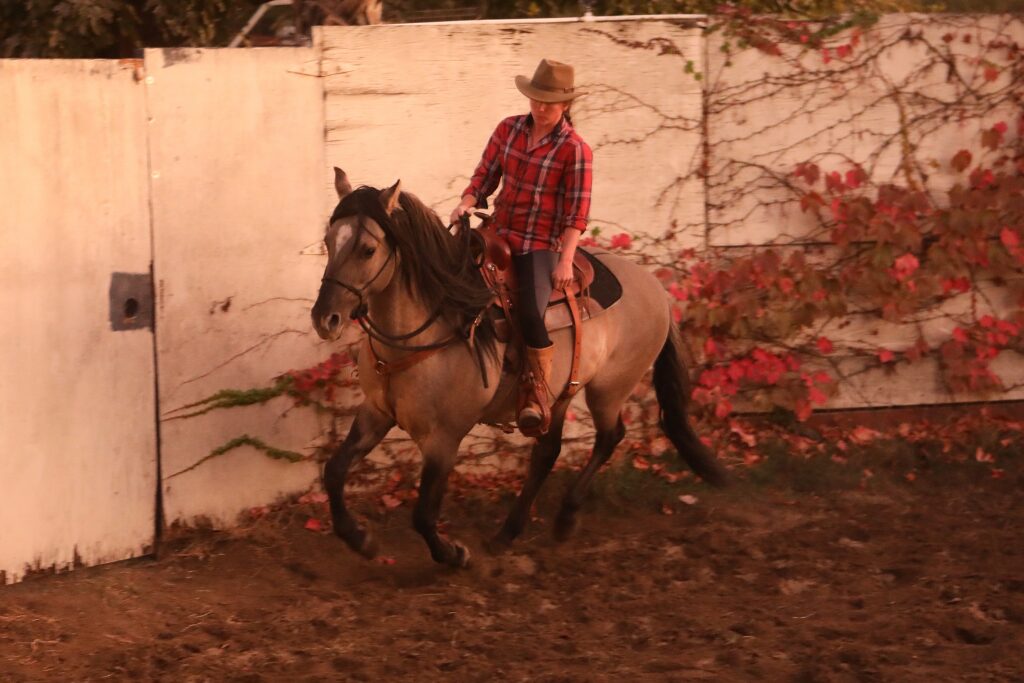 Cowgirl on grulla Kiger Mustang in sand arena near red-ivy covered white wall, wearing tan hat and red plaid shirt