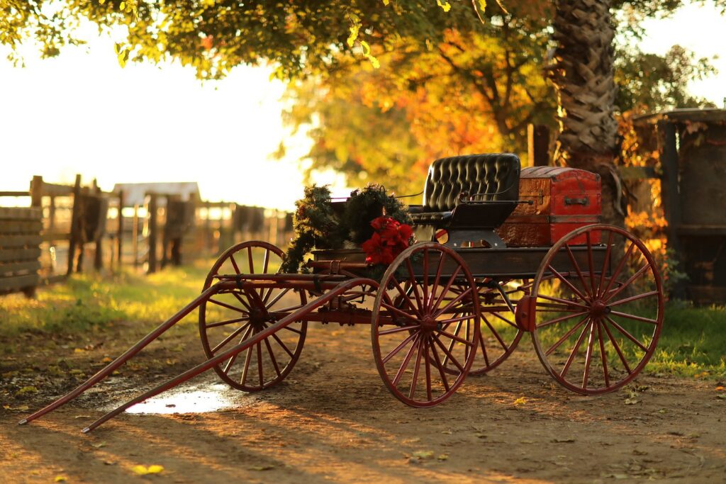 The Buggy