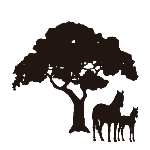 West 12 Ranch